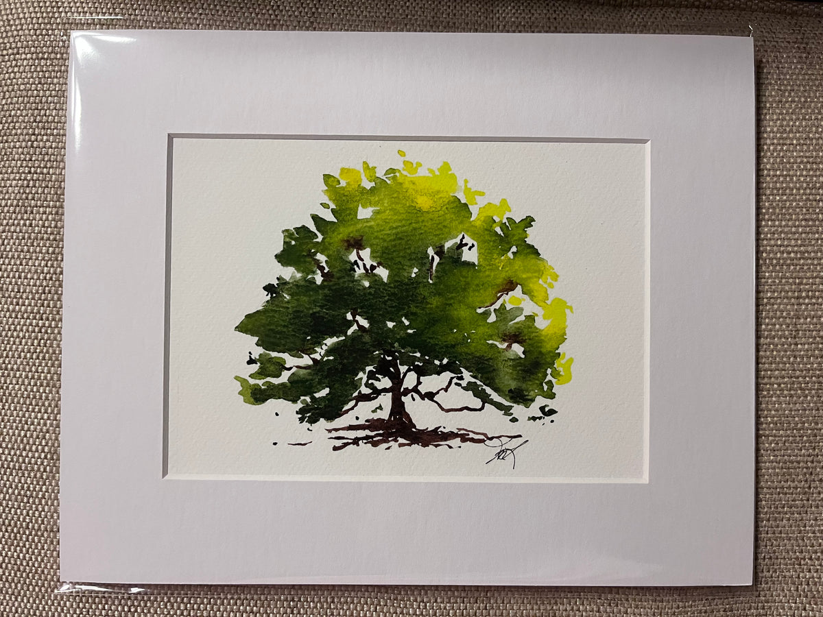 Beech Tree matted print