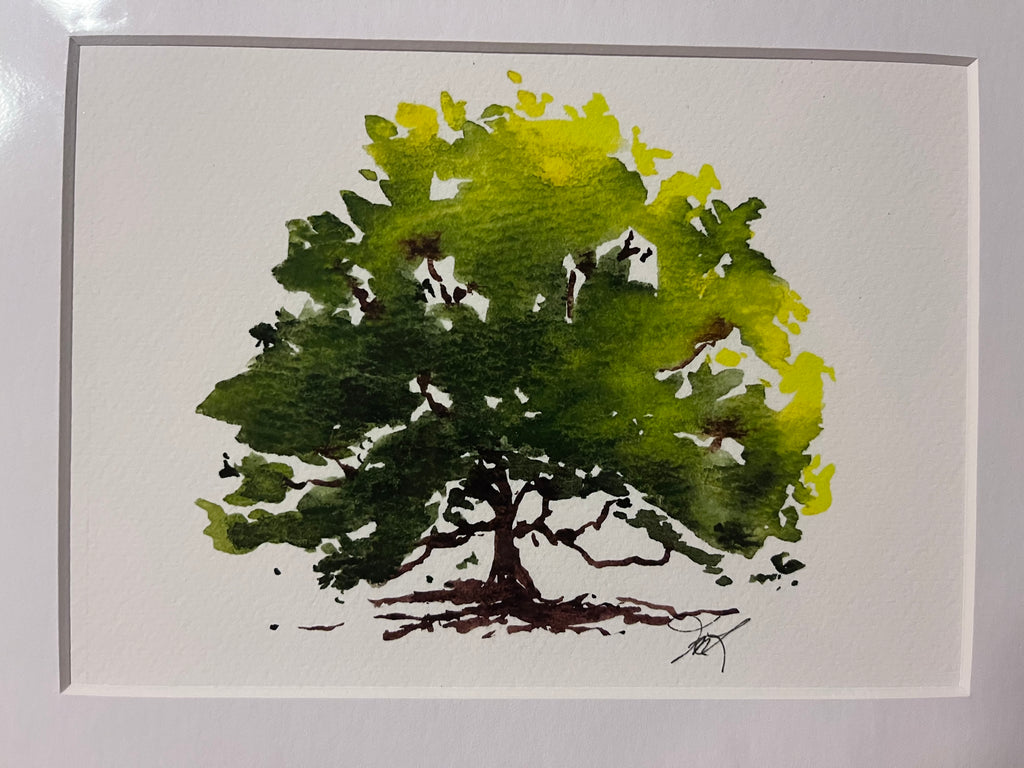 Beech Tree matted print