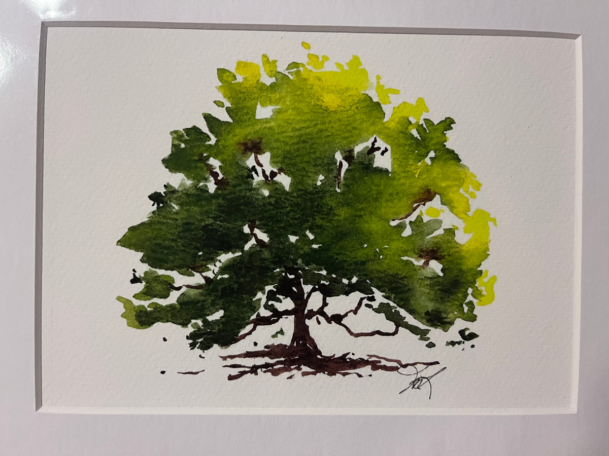 Beech Tree matted print