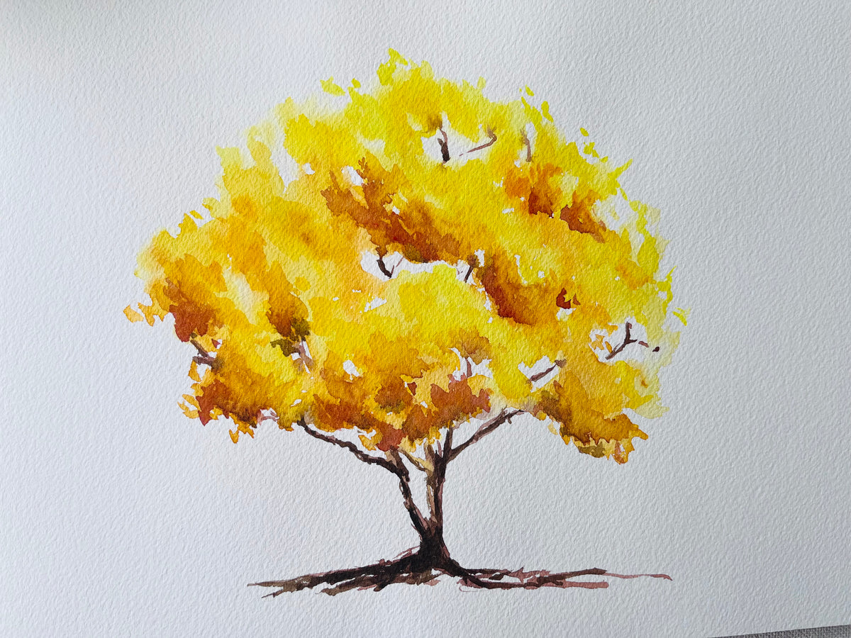 Honey Tree